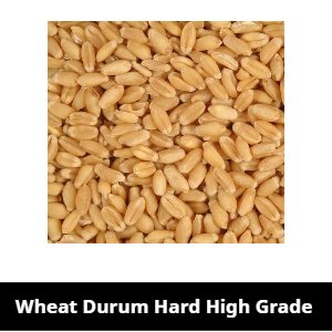 Wheat drum hard high grade